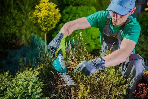 landscaping services Lincoln Park